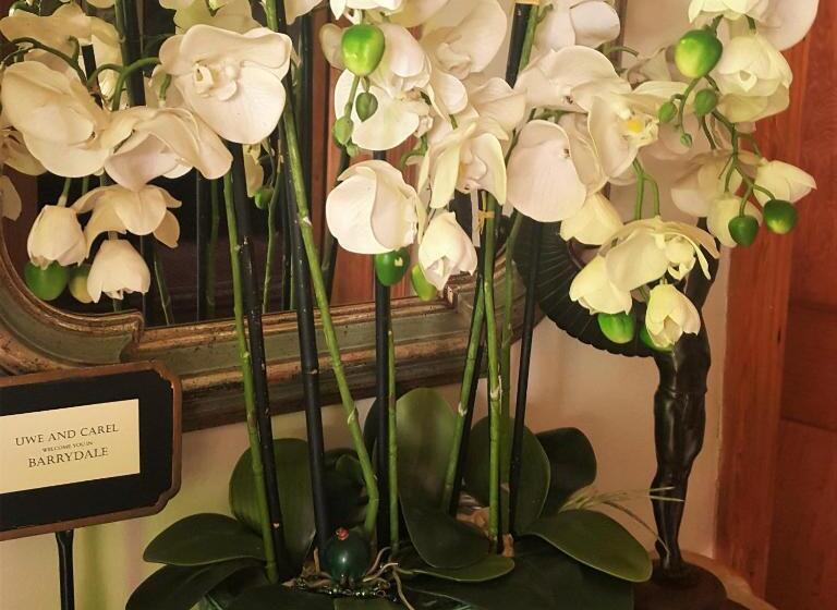 פנסיון Sorgvry   House Of Guests