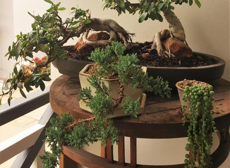 פנסיון Sorgvry   House Of Guests