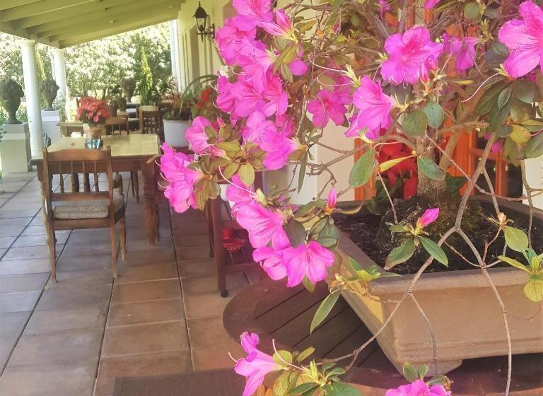 פנסיון Sorgvry   House Of Guests