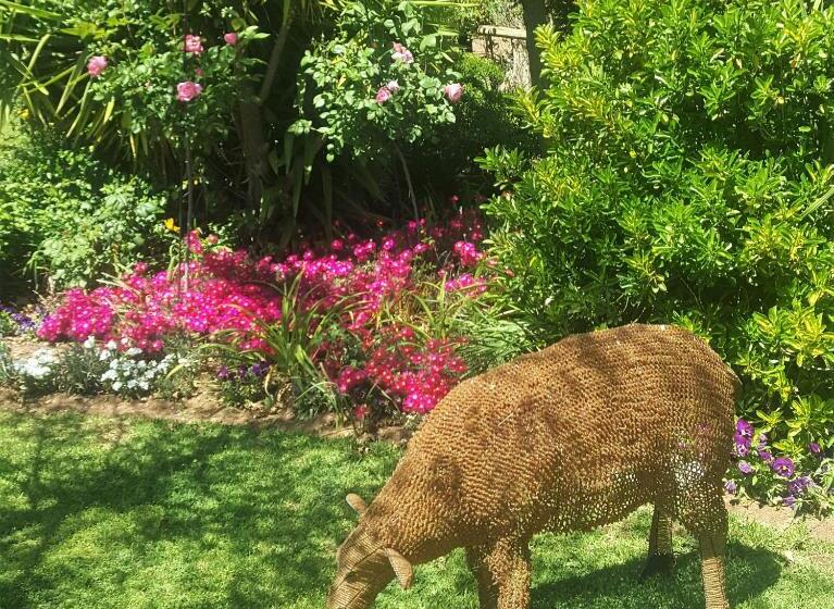 פנסיון Sorgvry   House Of Guests