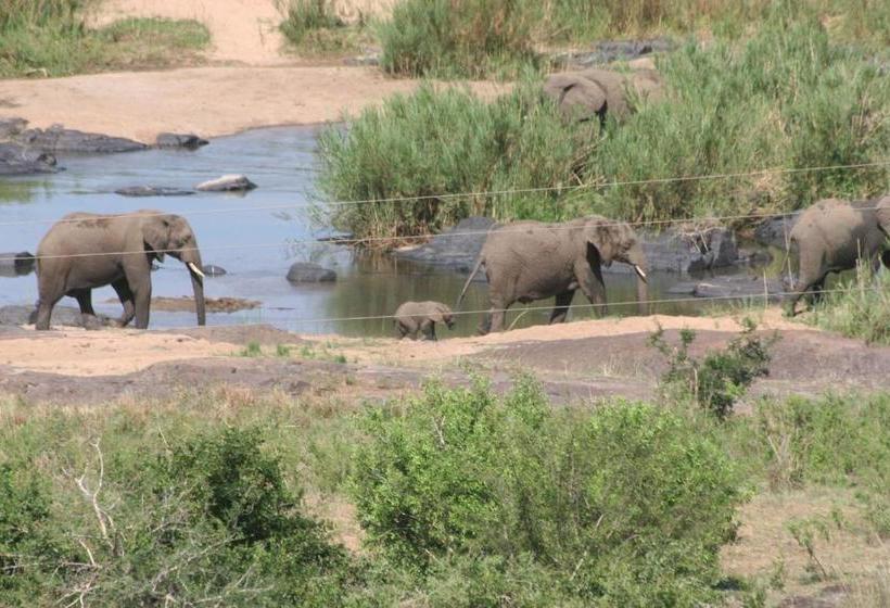 פנסיון Villacandilabra Guesthouse