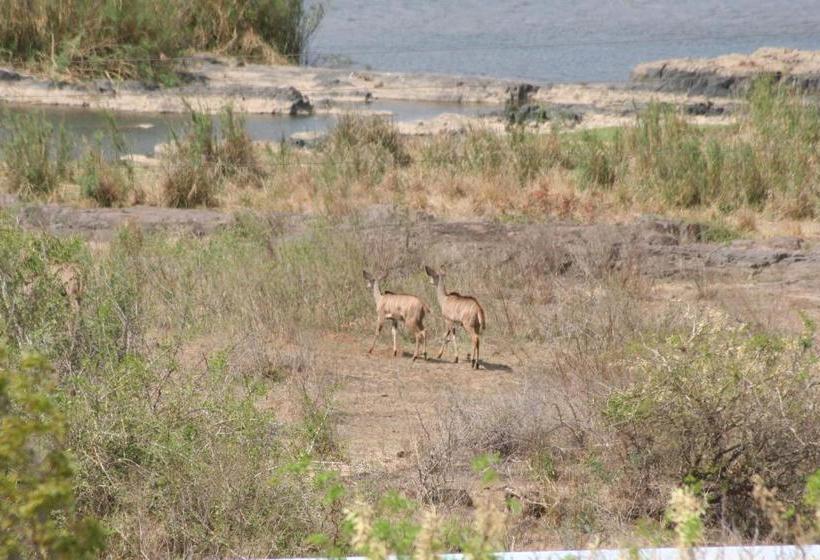 פנסיון Villacandilabra Guesthouse