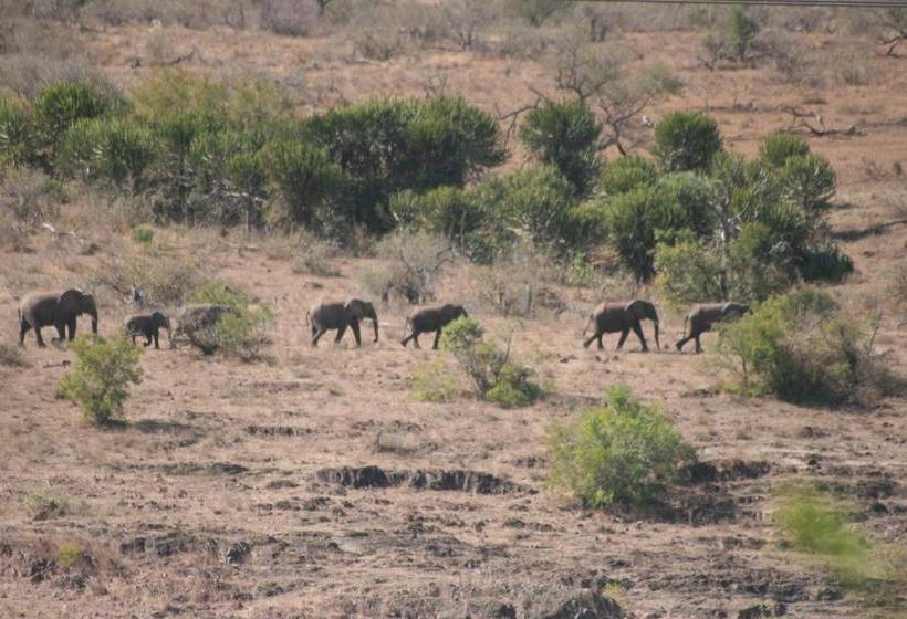 פנסיון Villacandilabra Guesthouse