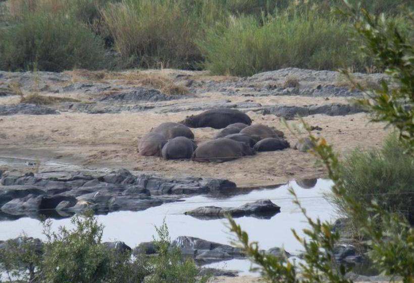 פנסיון Villacandilabra Guesthouse