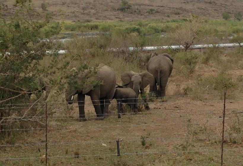 פנסיון Villacandilabra Guesthouse