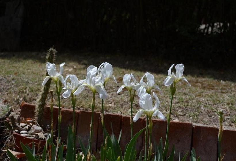 هاستل Hostal La Gloria