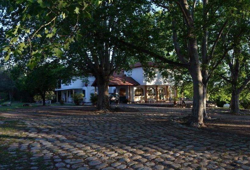 هاستل Hostal La Gloria