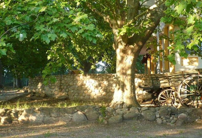 هاستل Hostal La Gloria