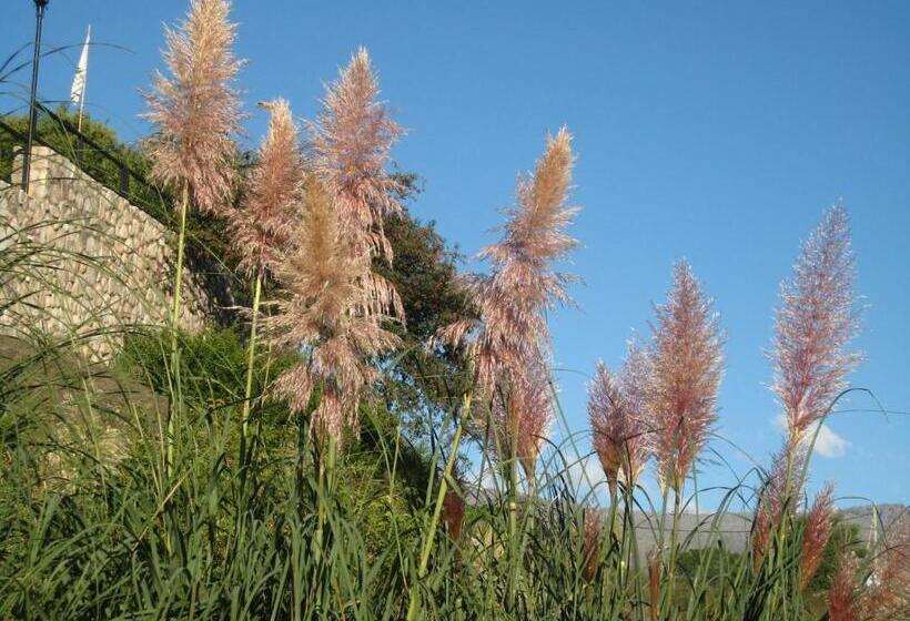 هاستل Hostal La Gloria