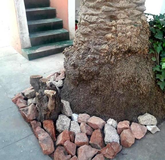 הוסטל Shekináh