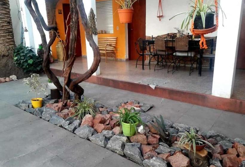 הוסטל Shekináh