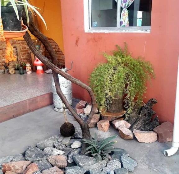 הוסטל Shekináh