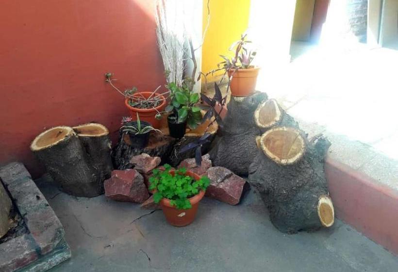 הוסטל Shekináh