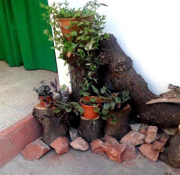 הוסטל Shekináh