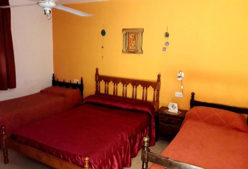 הוסטל Shekináh