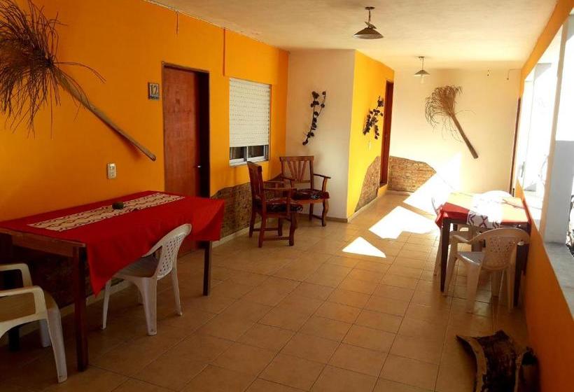 הוסטל Shekináh