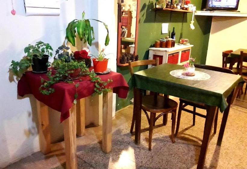 הוסטל Shekináh