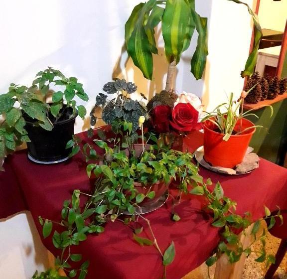 הוסטל Shekináh