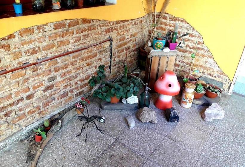 הוסטל Shekináh