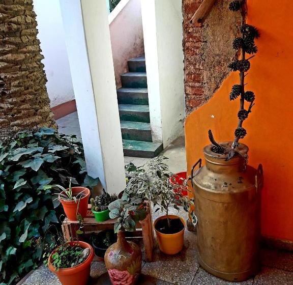 הוסטל Shekináh