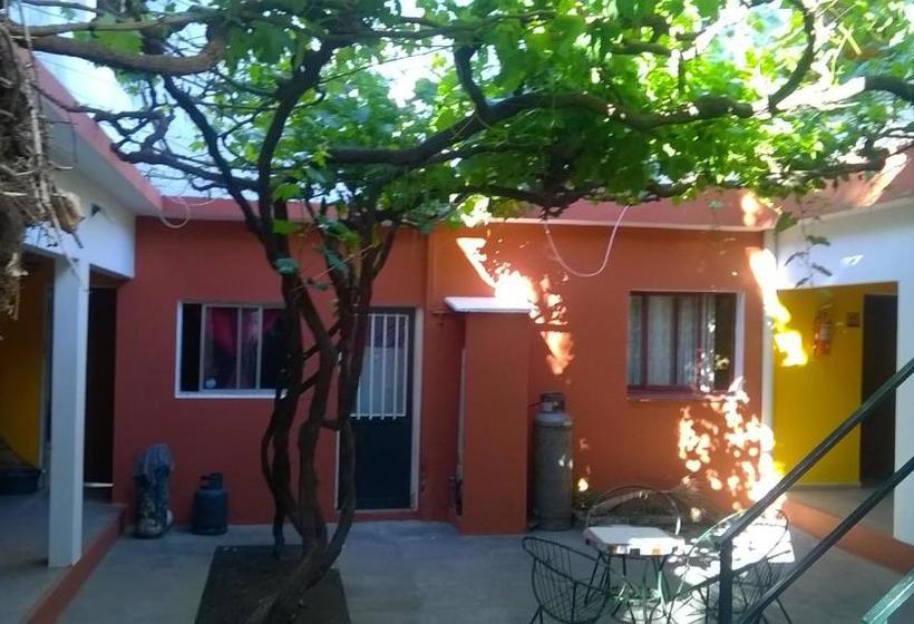 הוסטל Shekináh