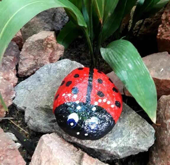 הוסטל Shekináh