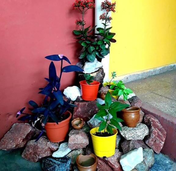 הוסטל Shekináh