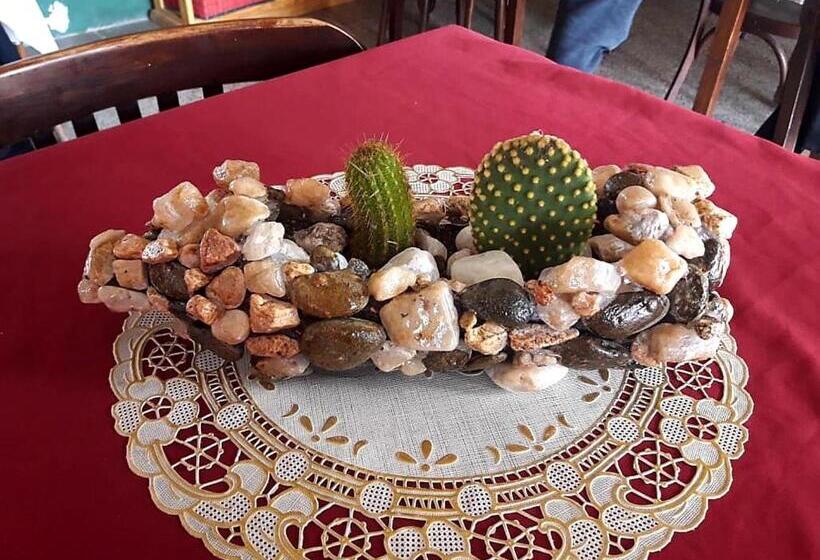 הוסטל Shekináh