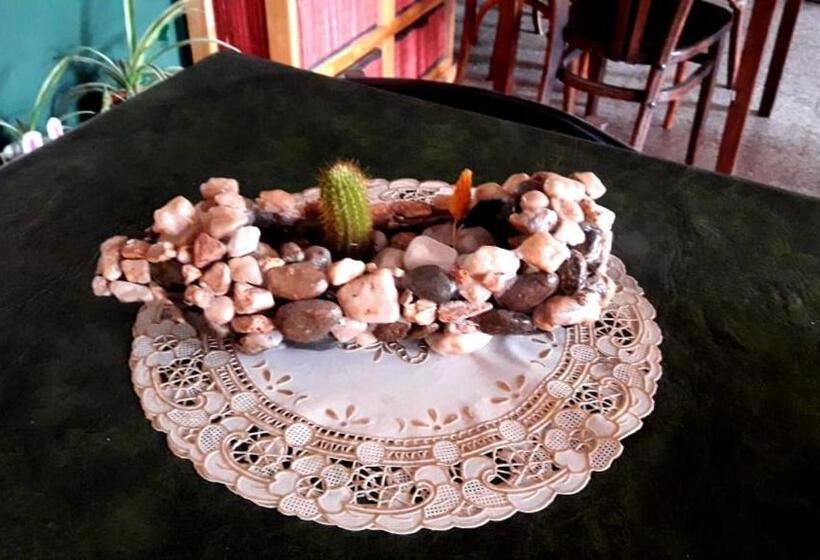 הוסטל Shekináh