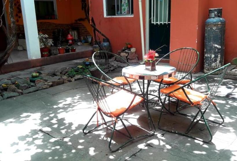 הוסטל Shekináh