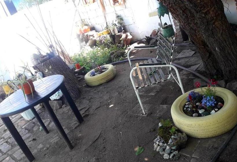 הוסטל Shekináh