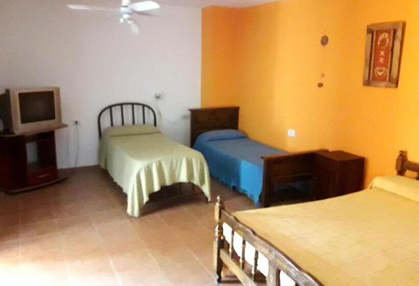 הוסטל Shekináh