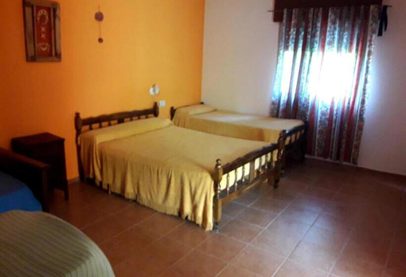 הוסטל Shekináh