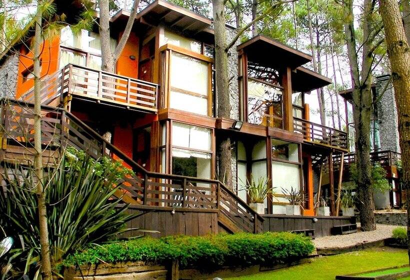 Altos Medanos Cabañas & Club De Bosque