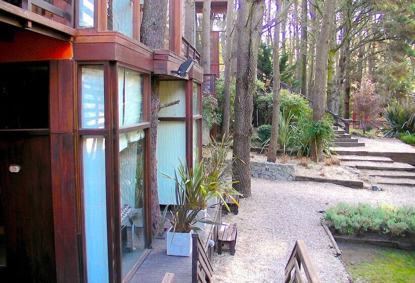 Altos Medanos Cabañas & Club De Bosque