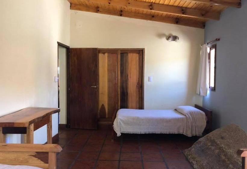 El Viento De Mi Sueño