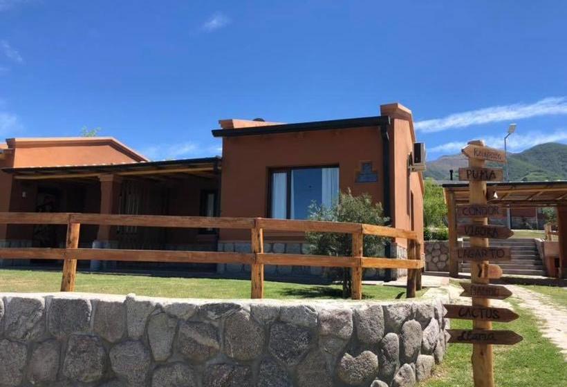 El Viento De Mi Sueño