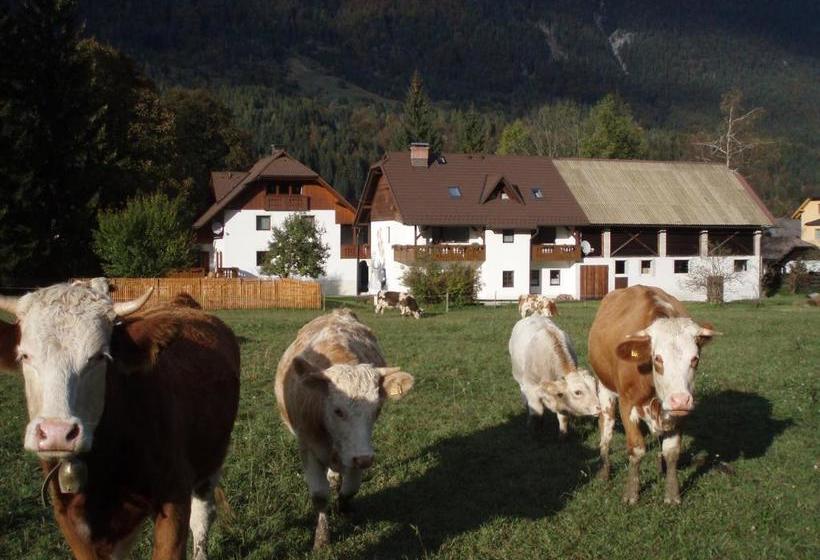 هتل Farm Košir