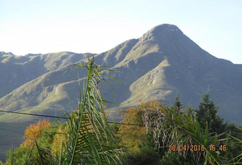 ペンション 15 Witpeer Street Guesthouse