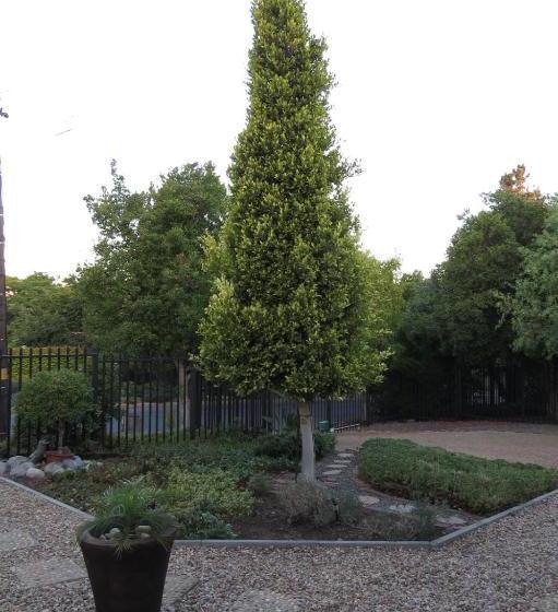 Пансион Coral Tree Guest Rooms