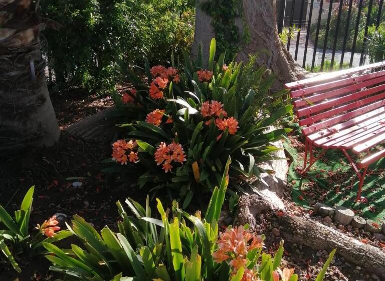 Пансион Coral Tree Guest Rooms