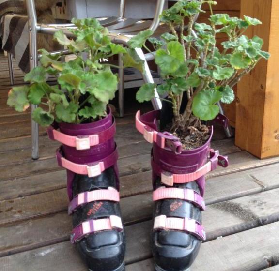 پانسیون Guest House Anastasia