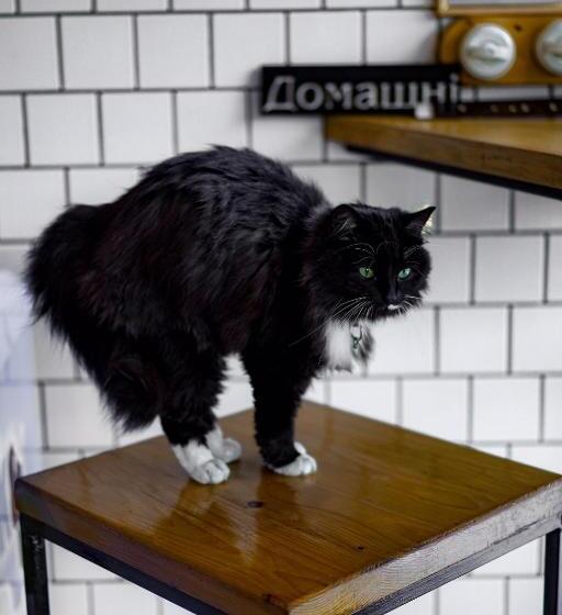 پانسیون Guest House Anastasia