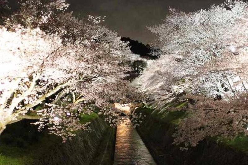 膳宿费 Guest House Hana