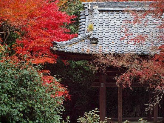 膳宿费 Guest House Hana