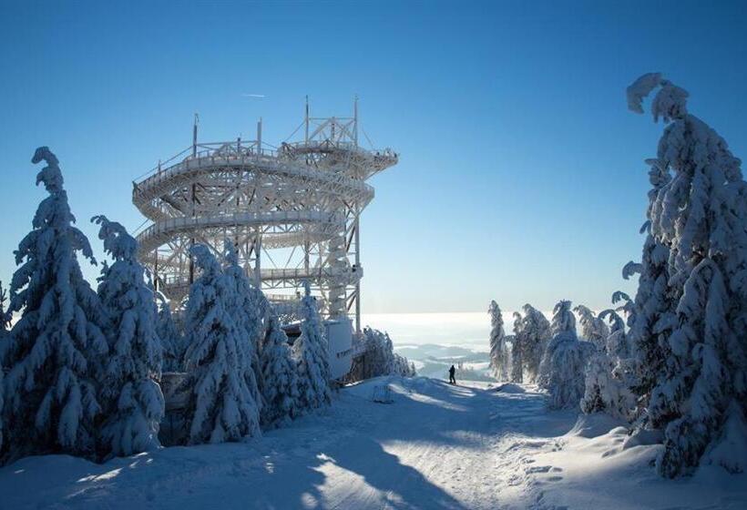 Пансион Guest House Sherpa