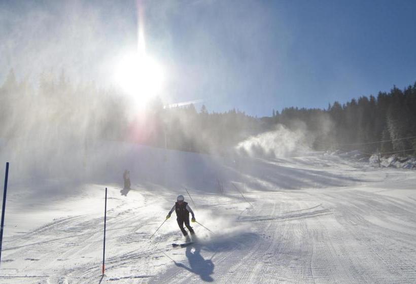 پانسیون Guest House Zavicaj Pale