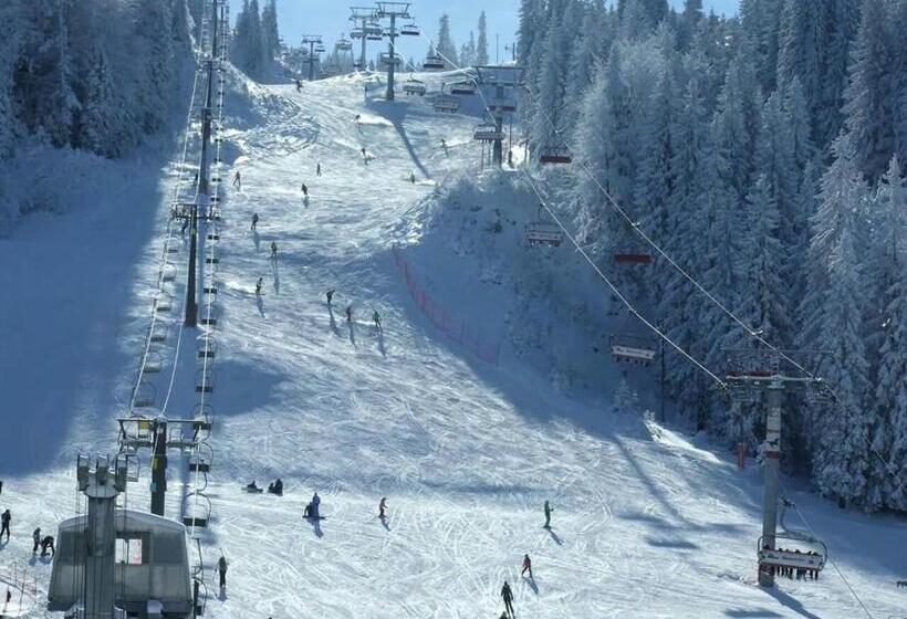 پانسیون Guest House Zavicaj Pale