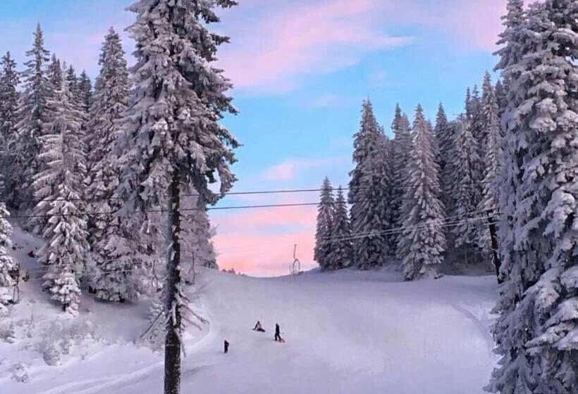 پانسیون Guest House Zavicaj Pale