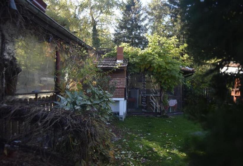 پانسیون Guest House Zdravets